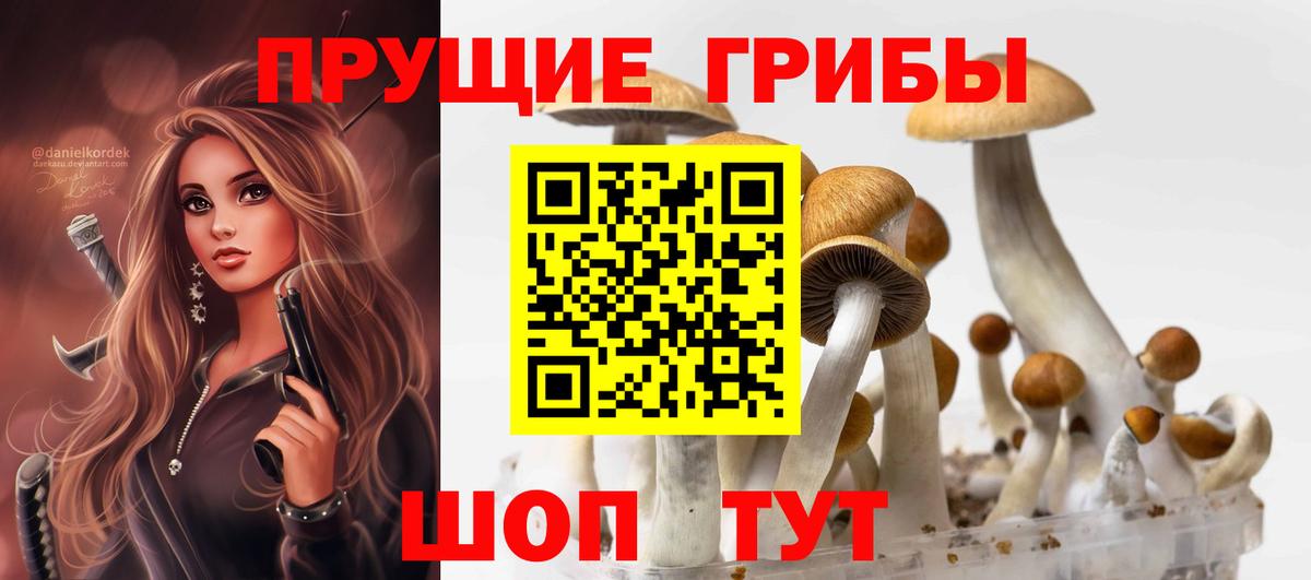 Галлюциногенные грибы Psilocybine cubensis Ногинск